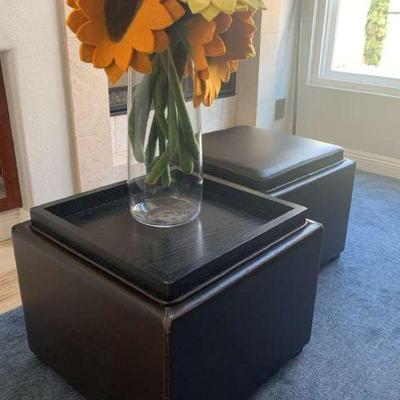 Ts114 storage ottomans and wool flowers