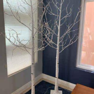 Ts127 light up birch trees