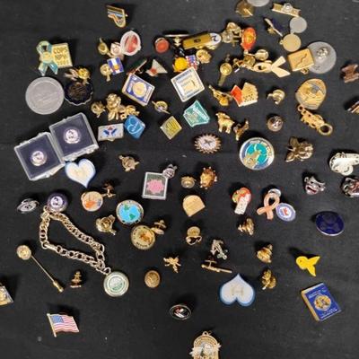 Ct195 assorted pins