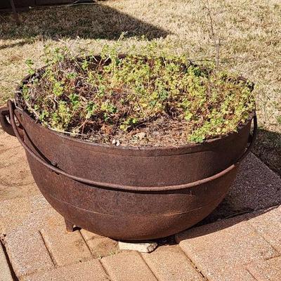 Cast Iron Cauldron Planter