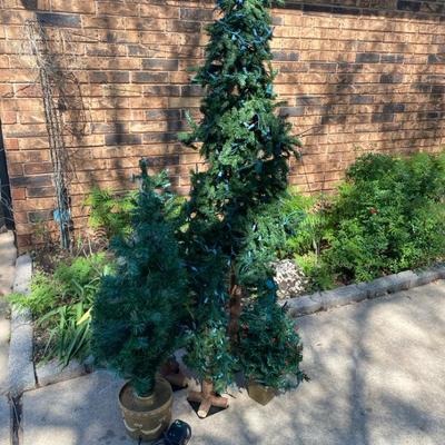 5 Trees