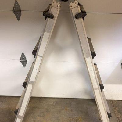 Multifunction Ladder