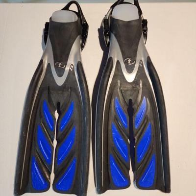 scuba fins