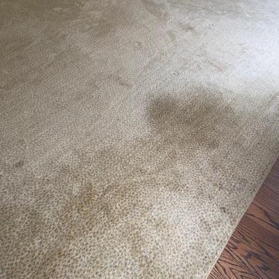 Large area rug