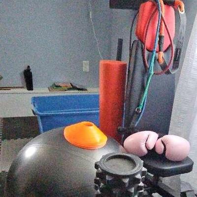 Gym Equipment Mystery Lot 