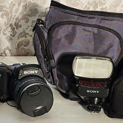 Sony Digital Cyber-Shot Camera, Case And Flash