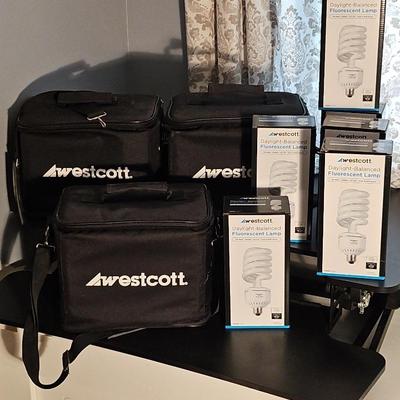 24 Westcott Fluoresent Lamps And Carrying Cases 