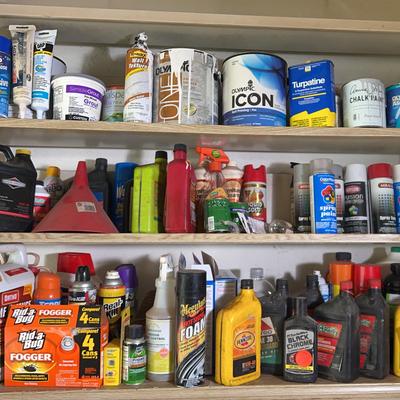 Mystery Collection of Paints, Cleaners, Motor Oil, Pesticides, Cleaners, Insect Traps (Amounts Vary)