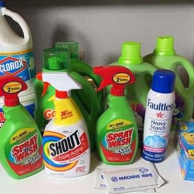Collection Of Laundry Supplies (Gain Laundry Soap & Fabric Softener, Spray N Wash, Shout, Clorox, +