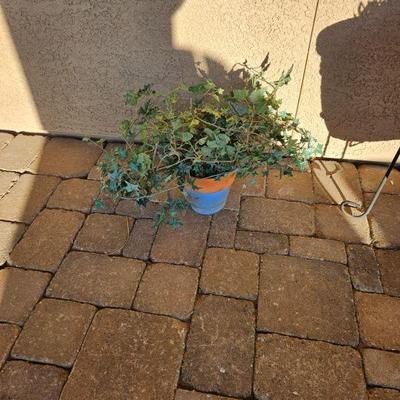 Outdoor pottery/art