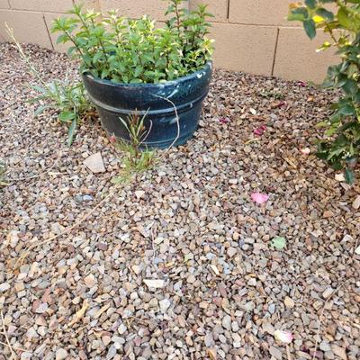 Outdoor pottery/art