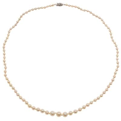 Graduated Cultured Pearl, 14k White Gold Necklace