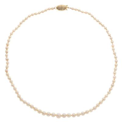 Graduated Cultured Pearl, 14k Yellow Gold Necklace