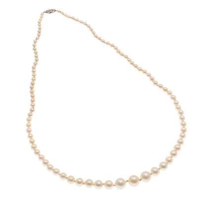 Graduated Cultured Pearl, 14k White Gold Necklace
