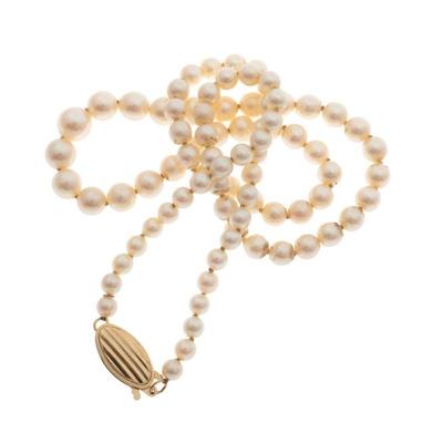 Graduated Cultured Pearl, 14k Yellow Gold Necklace