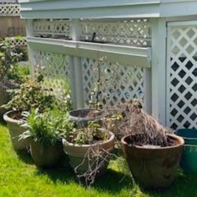 Garden pots