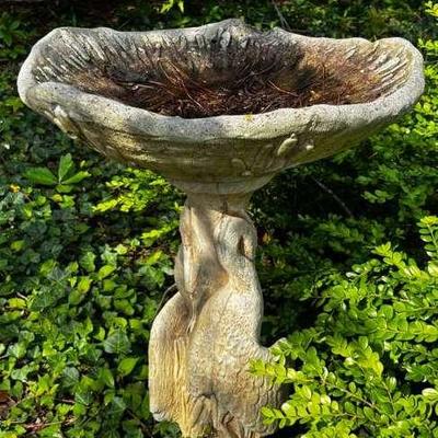Bird Bath