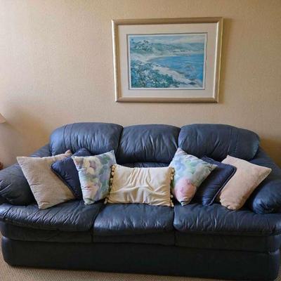 Ri236 blue leather couch