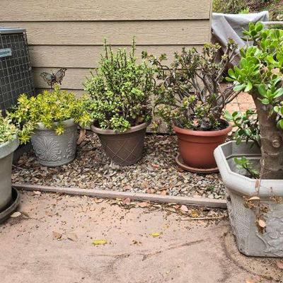 Ri210 plant lot 2