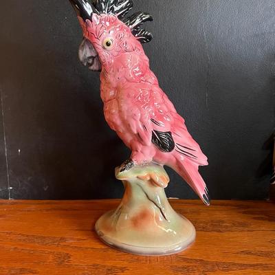Goldscheider Pink Black Cockatoo Bird Fine China 