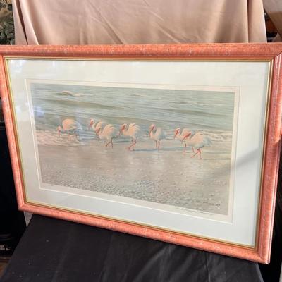 White Ibis Birds Seascape Frank C. Murphy Art Print Pink Frame #28/950