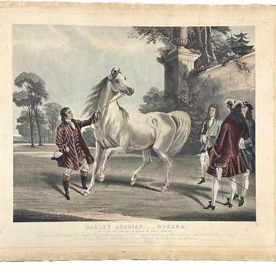 1842 DARLEY ARABIAN ROXANA HAND COLORED ENGRAVING
