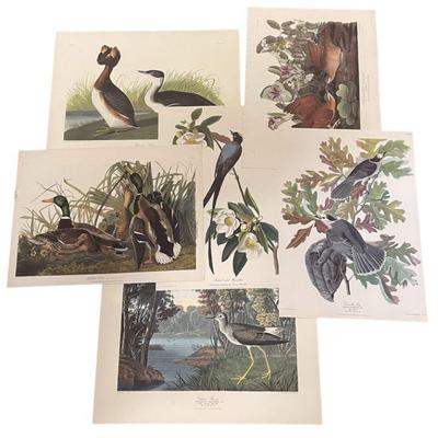 VINTAGE NORTHWESTERN MUTUAL AUDUBON PORTFOLIO 7