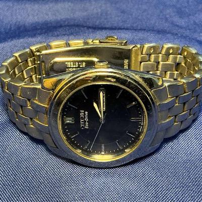 Citizen Eco-Drive Men’s Watch (LLE10)