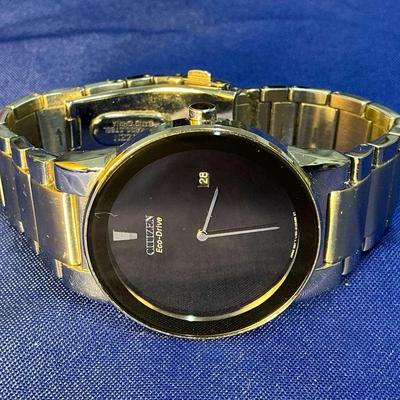 Citizen Eco-Drive Men’s Watch (LLE7)