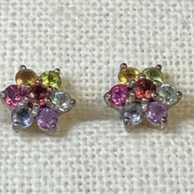 Sterling Silver Various Stone Pair Of Earrings