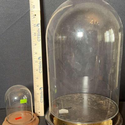 Glass Display domes 