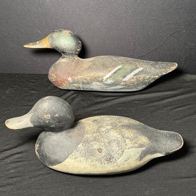 Vintage Duck Decoys