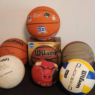 Ball Hog