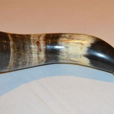 Horn