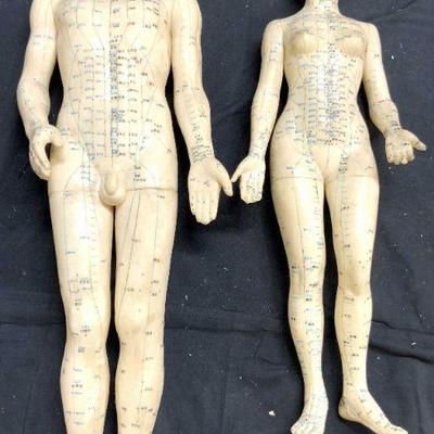 Lot 2 Asian Anatomical Acupuncture Dolls 22in
