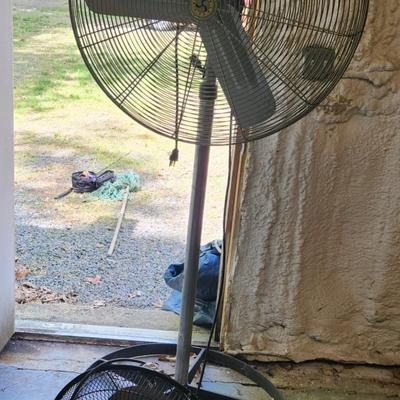 Large Fans