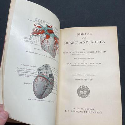 Antq 1913 Diseases Heart & Aorta, Illustrated
