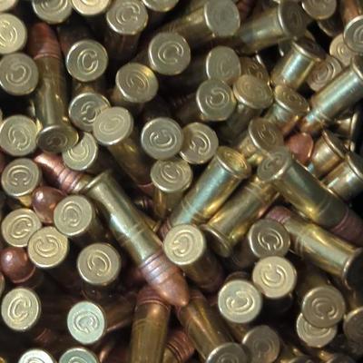 CCI Case .22 Ammo