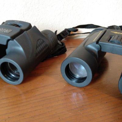 Bushnell & BSA Binoculars