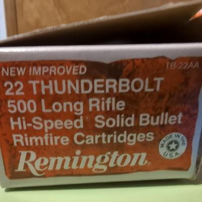 Remington .22 