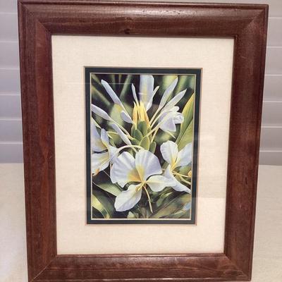 MMS102 Framed Picture Of White Ginger Flowers Signed