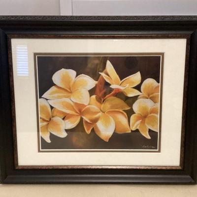 MMS075 Framed Picture Of Yellow Plumeria Flowers 