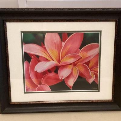 MMS074 Framed Pink Plumerias Picture 