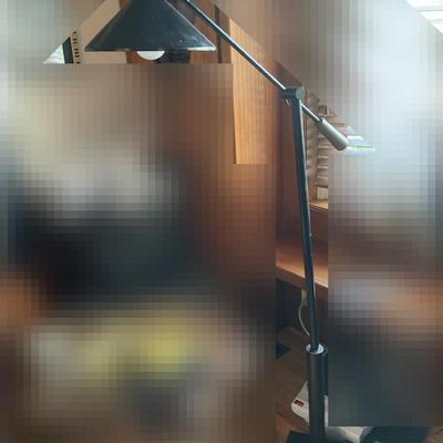 Standing Adjustable Lamp