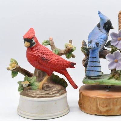 Musical Birds