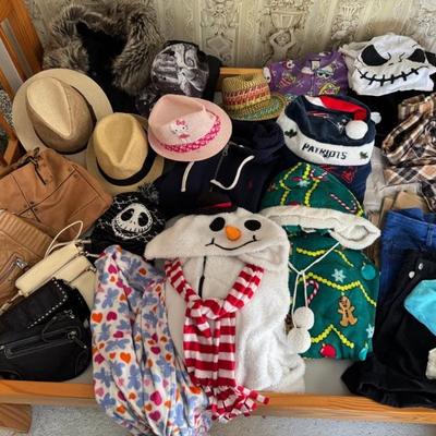 Clothing And Accessory Lot