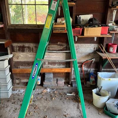 6ft Werner Aluminum Ladder