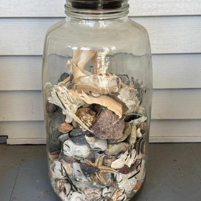 Giant Mason Jar With Sea Shell Collection