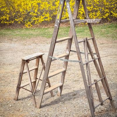 (2) Wood Ladders