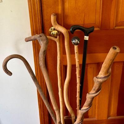 Collection Of Canes & Walking Sticks 